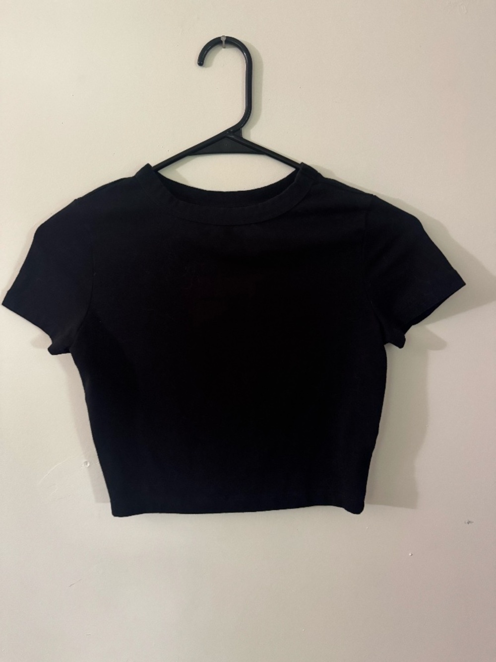 Wild Fable cropped baby tee